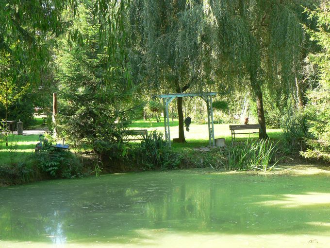 Vue de l'étang du jardin de la Pichée géré par l'association NECTAR